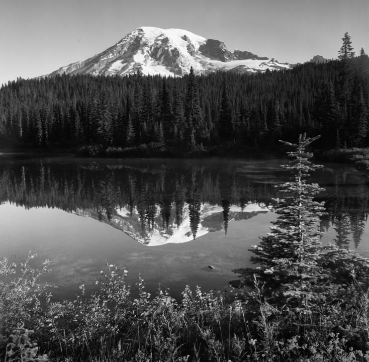 Mt. Rainier At Reflection Lake 